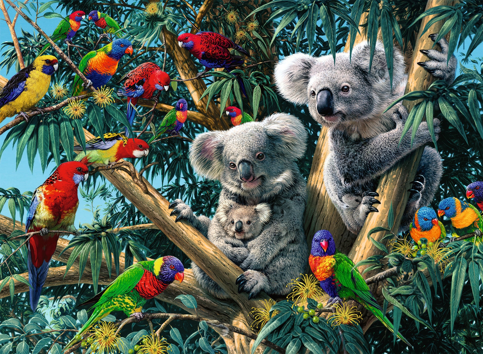 Ravensburger - Koalas in the tree - 500 palaa
