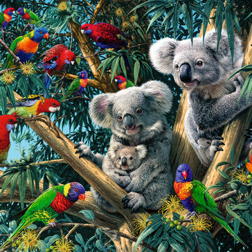 Ravensburger - Koalas in the tree - 500 palaa