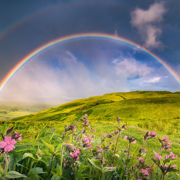 Ravensburger - The Rainbowscape -  1500 palaa