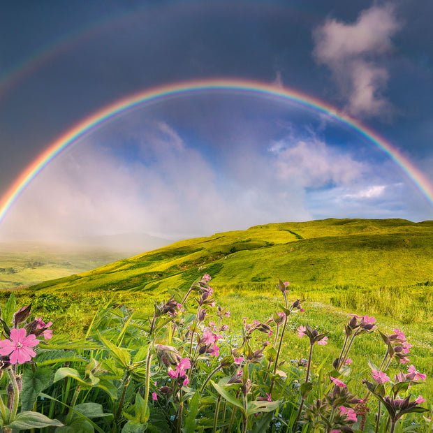 Ravensburger - The Rainbowscape -  1500 palaa