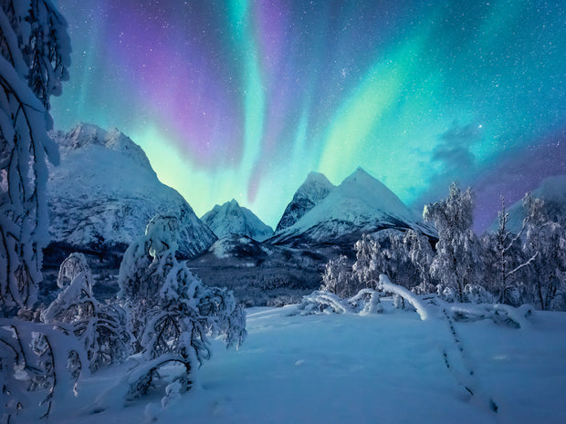 Ravensburger - The Arctic show - 1500 palaa