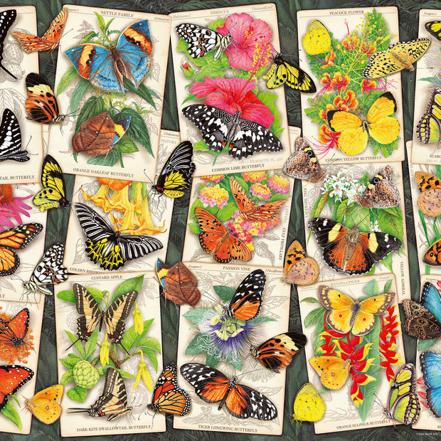 Ravensburger - Tropical butterfly - 1000 palaa