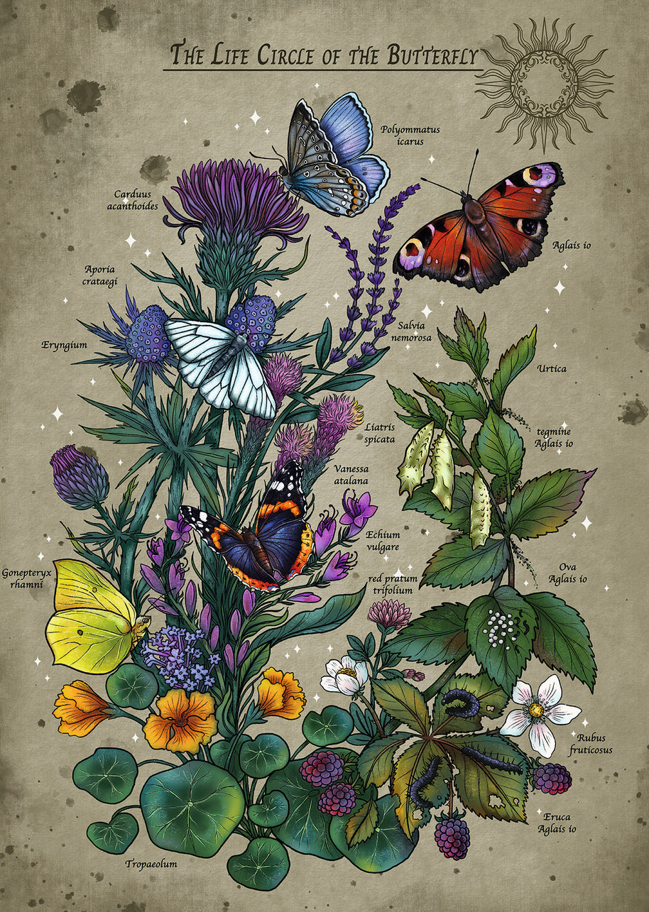 Ravensburger - Lifecircle butterfly - 1000 palaa