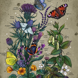 Ravensburger - Lifecircle butterfly - 1000 palaa