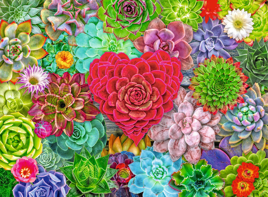 Ravensburger - Succulent love - 500 palaa