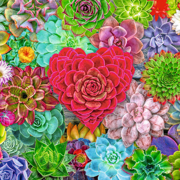 Ravensburger - Succulent love - 500 palaa
