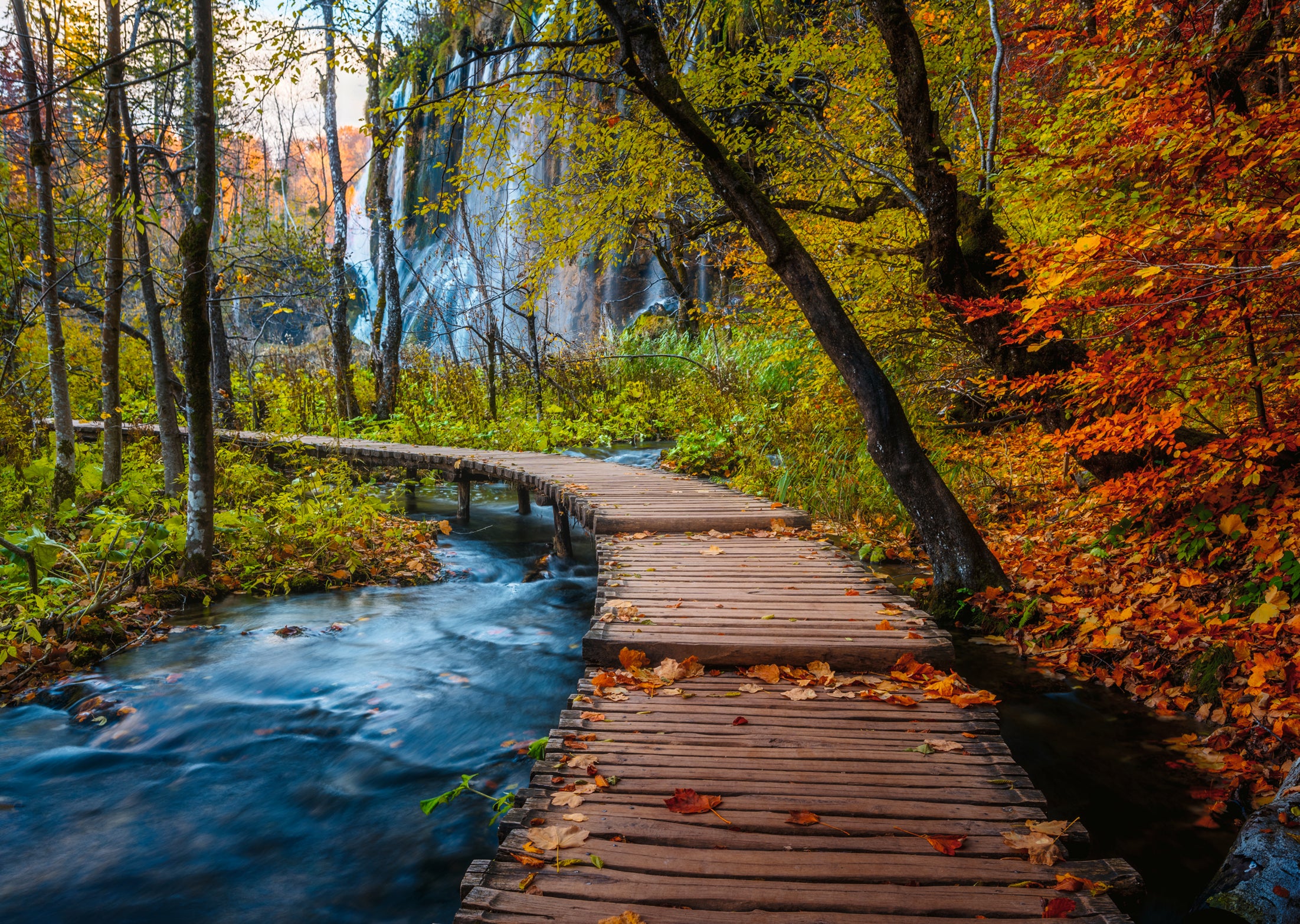 Ravensburger - Autumnal wood trail -  1000 palaa