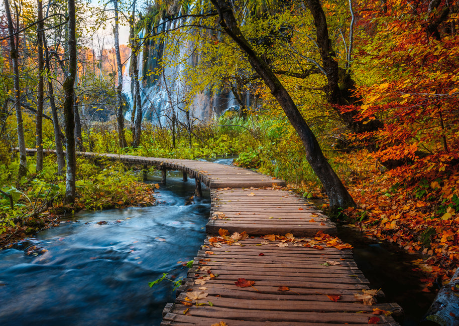 Ravensburger - Autumnal wood trail -  1000 palaa
