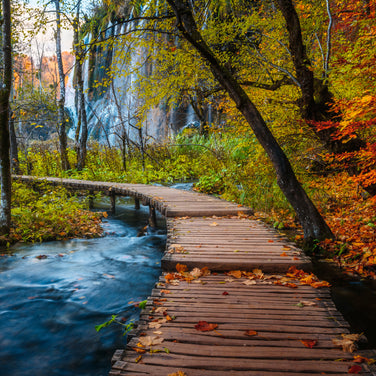 Ravensburger - Autumnal wood trail -  1000 palaa