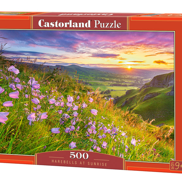 Castorland - Glockenblumen im Sonnenaufgang - 500 palaa