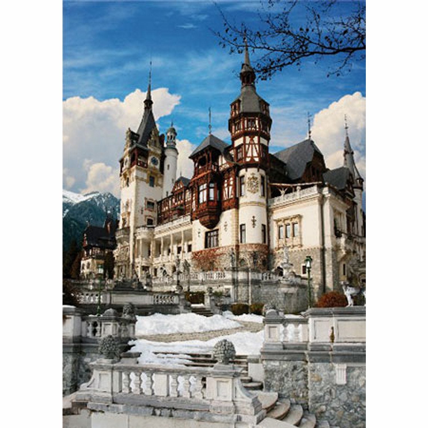 DToys - Romania : Peles Castle - 1000 palaa