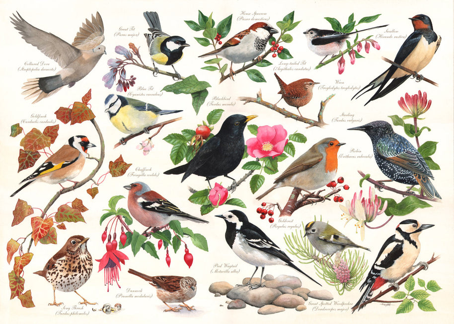 House of Puzzles - Birds In My Garden - 1000 palaa