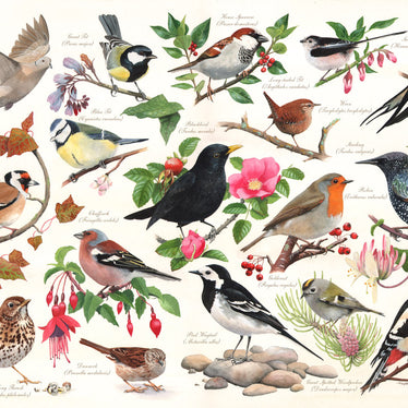 House of Puzzles - Birds In My Garden - 1000 palaa