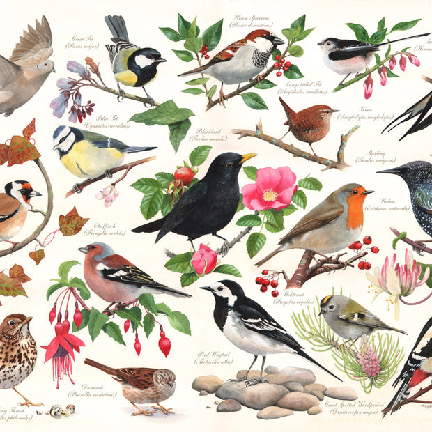 House of Puzzles - Birds In My Garden - 1000 palaa