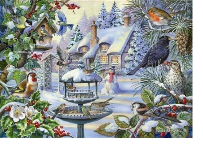 House of Puzzles - XXL Pieces - Winter Birds -  500 palaa