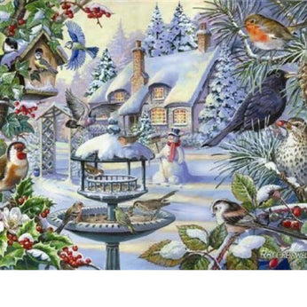 House of Puzzles - XXL Pieces - Winter Birds -  500 palaa