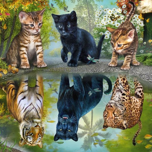 Schmidt - Dream Big! - 1000 palaa