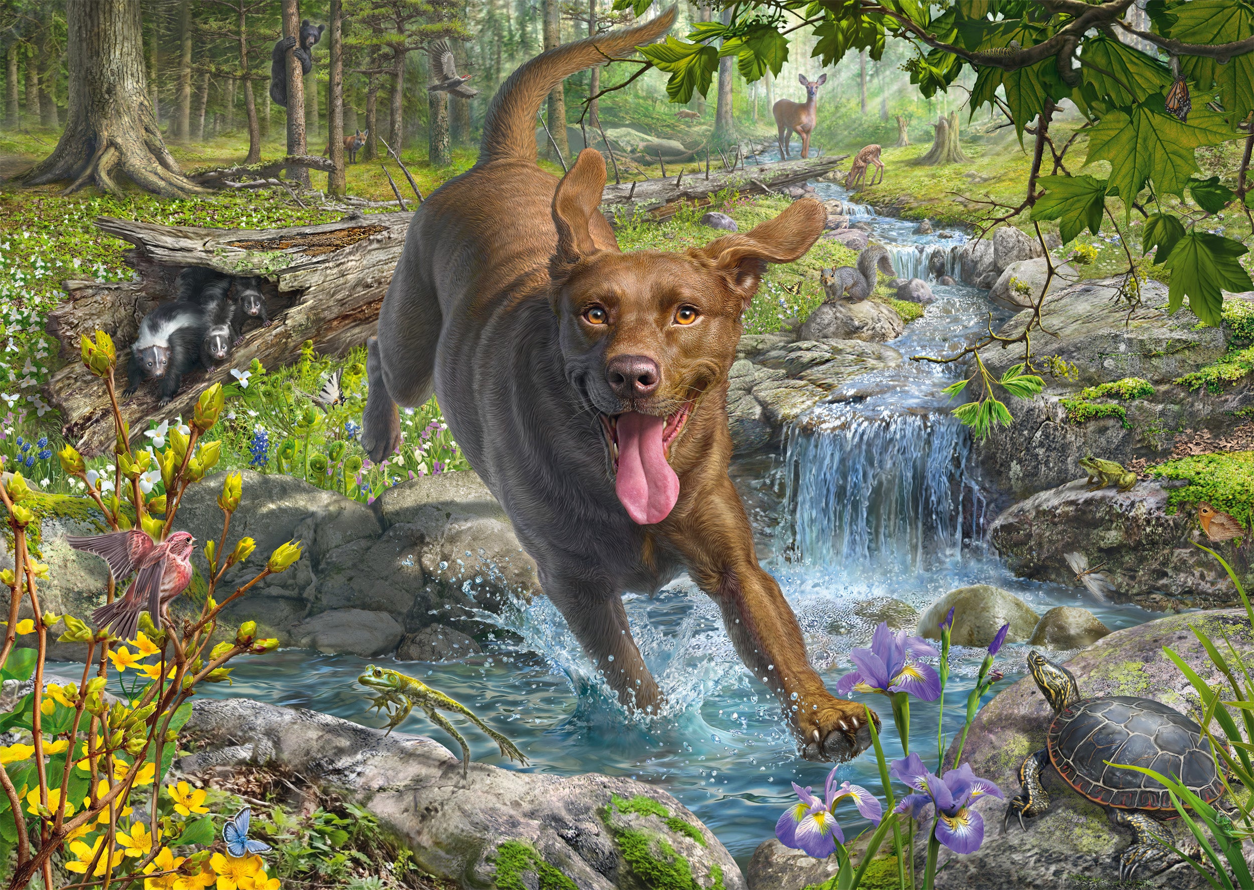Schmidt - Mark Fredrickson - Retriever in Spring - 1000 palaa