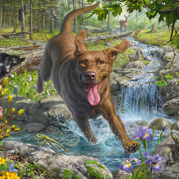 Schmidt - Mark Fredrickson - Retriever in Spring - 1000 palaa