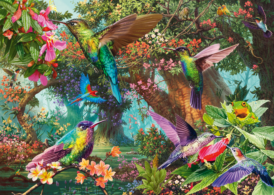 Schmidt - Hummingbird colour game - 1000 palaa