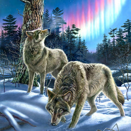 SunsOut - Wolves and Lights - 1000 palaa