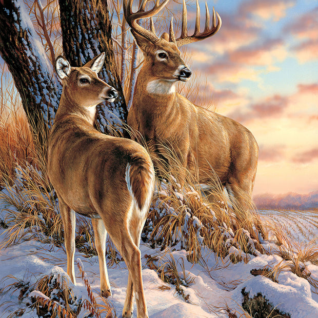 SunsOut - Escapade - XXL - 500 palaa