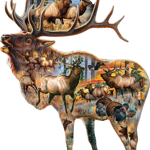 SunsOut - Cynthie Fisher - Bugle Call - 800 palaa